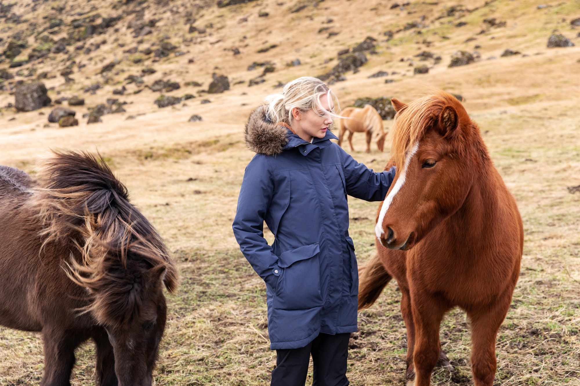 IcelandCover - Location de vêtements de plein air à Reykjavík