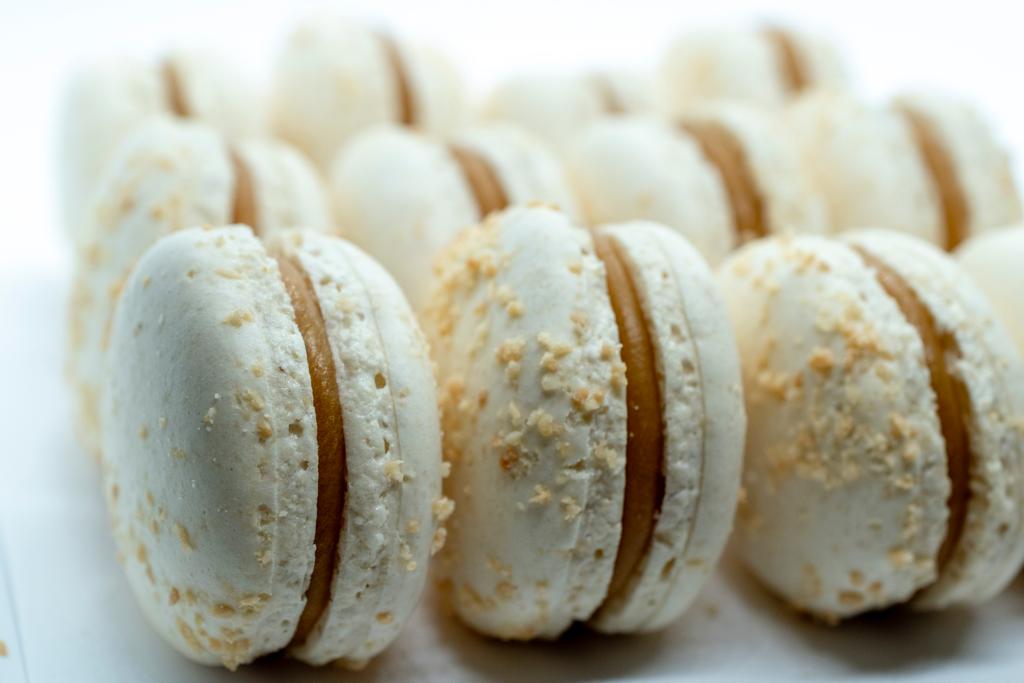 Arctic Macarons