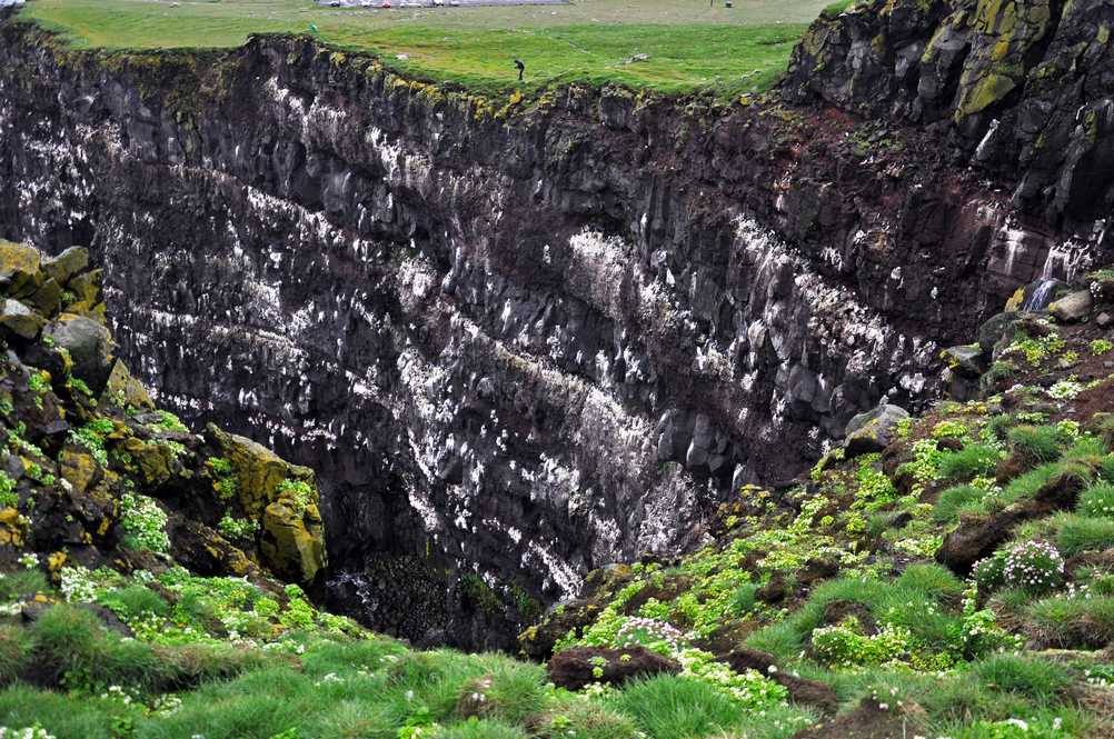 Latrabjarg cliff in Iceland